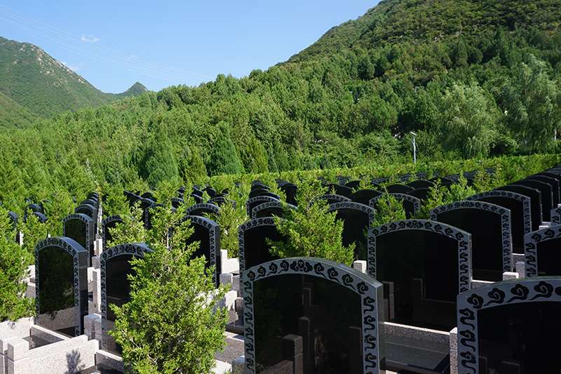 满足什么情况可以提前购买墓地（北京购墓标准）